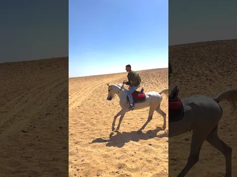 انا حرفيا كنت هأطير😅