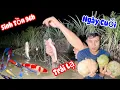 Download Lagu Sinh Tồn 96h Ku Đen Trúng Mánh Cá Và Hái Loại Trái Siêu Víp Ngày Cuối Survival in the Fieldsi
