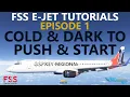 FSS E-Jets Tutorial Ep 1 Cold Dark to Push Start MSFS 2024