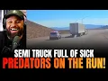 Download Lagu Wilde politieachtervolging met vrachtwagen VOL roofdieren op de vlucht!