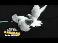 Maharani Slowed (Slowed & Reverb) || Karun (feat. Arpit Bala, ReVo LEKHAK) || DHH Reverb
