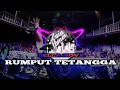 DJ RUMPUT TETANGGA JOGET FVNKY 2019 (DJ BABY ZELLA REMIX)
