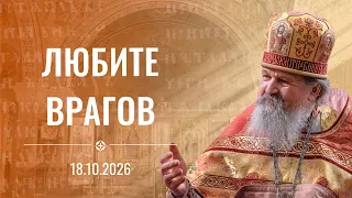Сегодня люблю, а завтра ненавижу. Проповедь о. Андрея Лемешонка 18.10.2026