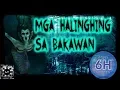 Download Lagu Mga Halinghing Sa Bakawan | Tagalog Stories | Pinoy Creepypasta