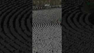 اريد الحب في قلب شريف 