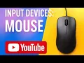 INPUT DEVICES The Mouse