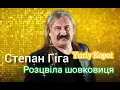 Степан Гіга - Розцвіла шовковиця