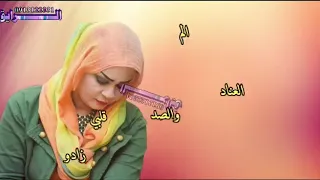 ود البله زهرة البلسم 