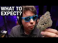 ARE THESE HIGH PRICED STRAIN RELEASES WORTH IT