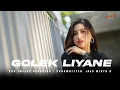 Download Lagu IMELDA VERONICA - GOLEK LIYANE (Official Music Video) | Lungamu Ninggal Kenangan
