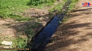                                                                                                      دندنها