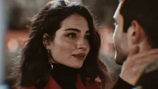 بدي شوفك كل يوم يا حبيبي وائل جسار    دندنها
