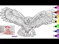 How to Draw an Owl and Owl Coloring Page for Kids - Shark Coloring Pages for Children 173