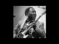 Muddy Waters - I Am The Blues