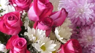 احمد منيب الدنيا برد يا عم خليل 