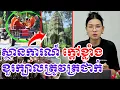 Lagu ស្ថានការណ៍ក្តៅ តែខួរក្បាលត្រូវត្រជាក់ ហើយបេះដូងក្តៅ|វិចារណៈកថា|BoSokunthea