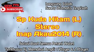 Download SP KUDA HITAM STEREO AKAU2014 - GAK PERLU RAGU DENGAN RESPONNYA MP3