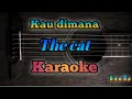 Download Lagu The Cat - Kau Dimana Karaoke
