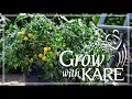 Grow with KARE Perfect produce for hanging baskets