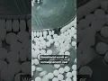 Download Lagu Bacteriën zetten plastic om  In paracetamol