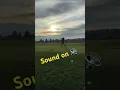 Download Lagu Flush contact = distance. Sound is amazing!#golfdad #golfishard #golfswing #taylormadegolf #golf