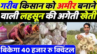 2026 में लहसुन की वैज्ञानिक खेती | Lahsun Ki Kheti Kaise Karen | Lahsun Ki Kheti | Garlic Farming