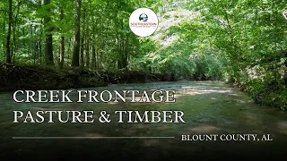 26 Acres with Creek Frontage in Blount County Alabama Pasture Timber Year-Round Water