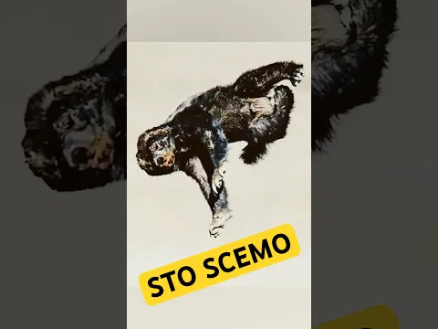 Quel deficiente del TASSO DEL MALE
