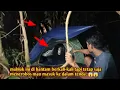 Download Lagu CAMPING HORROR NGAMUK MAHLUK INI DI HANTAM BERKALI-KALI TAPI MENEROBOS  MASUK TENDA 