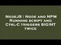 NodeJS Node and NPM Running script and Ctrl-C triggers SIGINT twice
