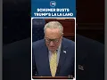 What Planet Is He On Schumer in No Mood to Spare Trump Over Disastrous US Economy