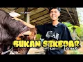 Download Lagu Rezeki dari kandang lama #oscarfarm 