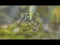 bad habit - sped up