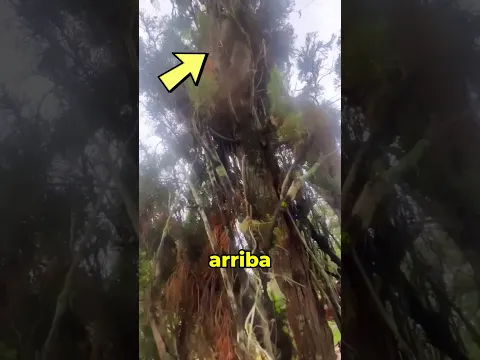 Esta ardilla quería enseñarle algo 🥹