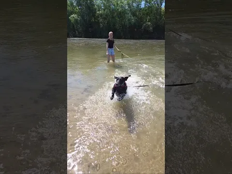 Shelter Dogs First Trip to the River