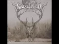 Download Lagu Waldgeflüster - Mondscheinsonaten (Full Album)