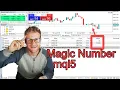 Magic Number Explained for MT5 Programming mql5 Tutorial