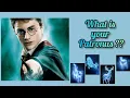 Harry Potter Patronus Quiz Patronus Quiz Hogwarts