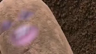 Антошка Картошка 