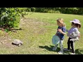 Oatland Island wildlife center in Savannah GA April 2026
