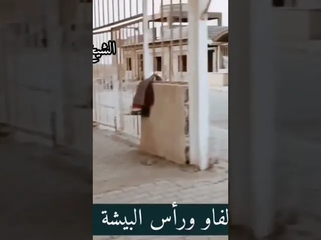 ⁣تسمية الفاو ورأس البيشة