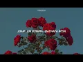 Juan Luis Guerra - Bachata Rosa - Letra 