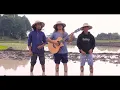 Download Lagu Ditipa Utang cip.Poster Sihotang Cover PANGULA lagu Batak new