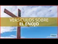 Versiculos sobre el Enojo Citas biblicas para controlar la ira