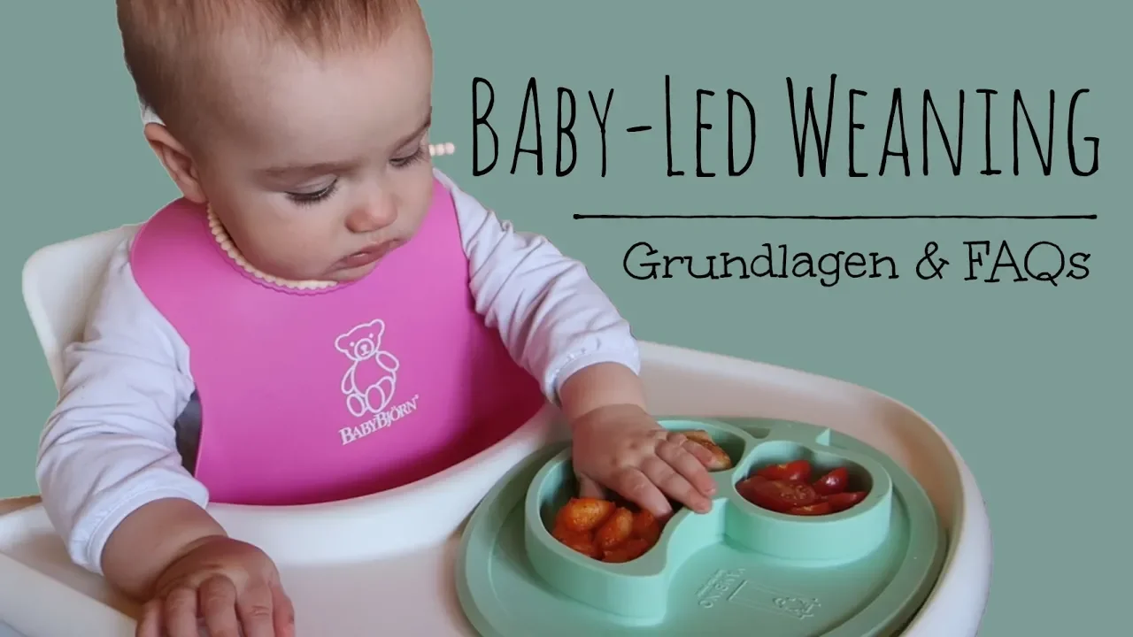 What My 8 Month Old Eats In A Day| Baby Led Weaning