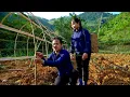 Lagu The transformation: of the kind man left single mother amazed at his skillful hands. Ly Tu Tay VN