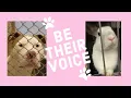 Montgomery County SPCA