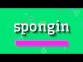 Download Lagu SPONGIN - HOE SPONGIN UIT TE SPREKEN?  #spongin (SPONGIN - HOW TO PRONOUNCE SPONGIN?