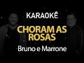 Download Lagu Choram as Rosas - Bruno e Marrone (Karaokê Version)