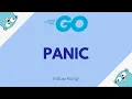 Panic in Go Go for Beginners